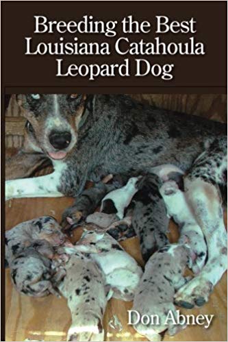Breeding the Best Louisiana Catahoula Leopard Dog
